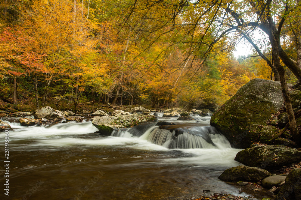 Obraz premium Little River in Fall in Smoky Mountains Tennessee