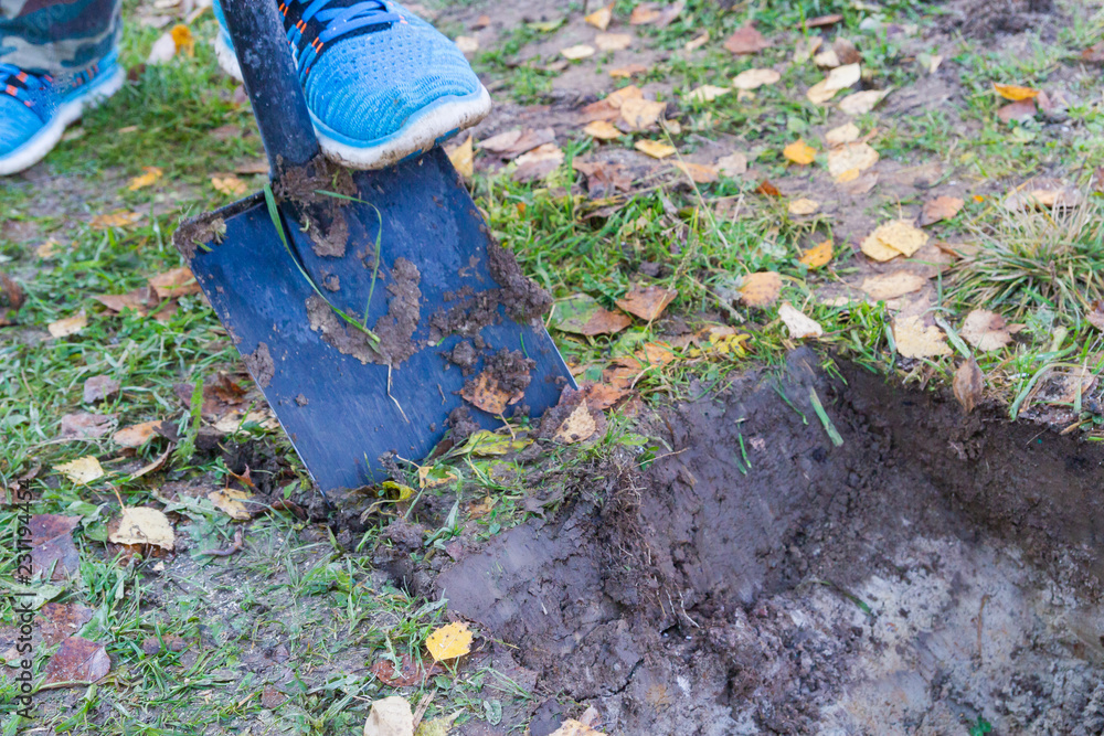 Obraz premium Man digging a ditch with a shovel in autumn