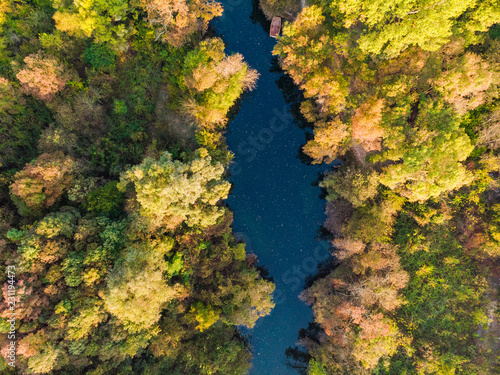 Blue river flow trough forest, top down aerial
