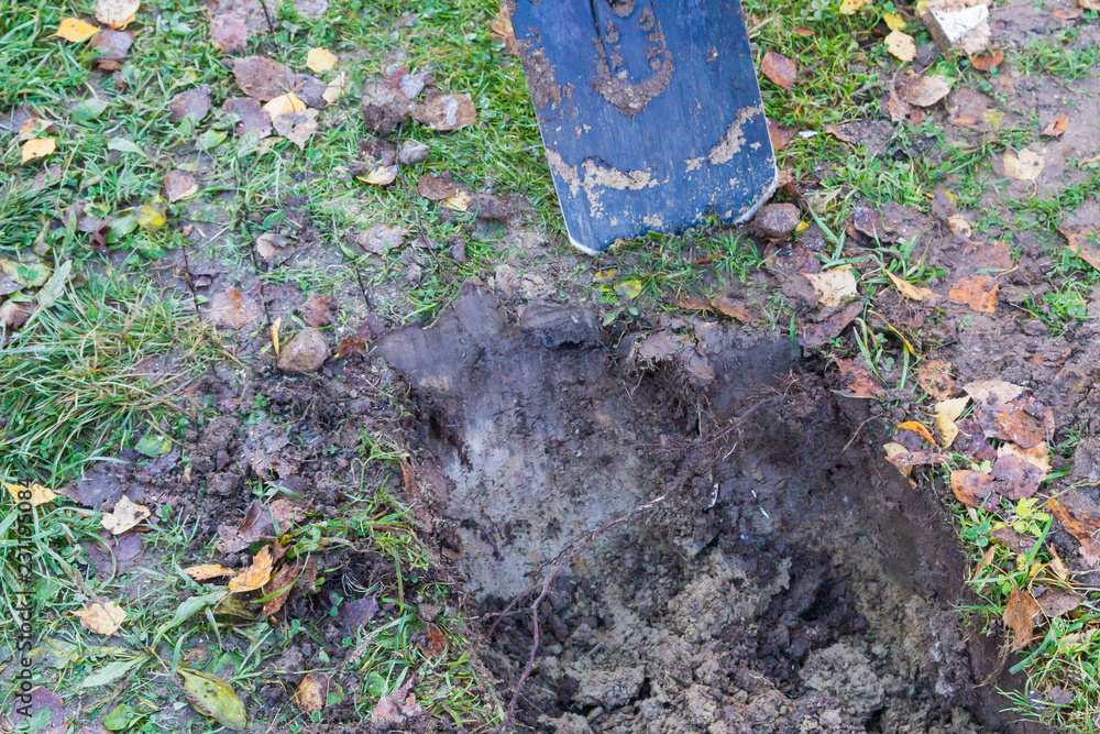 Fototapeta premium Man digging a ditch with a shovel in autumn