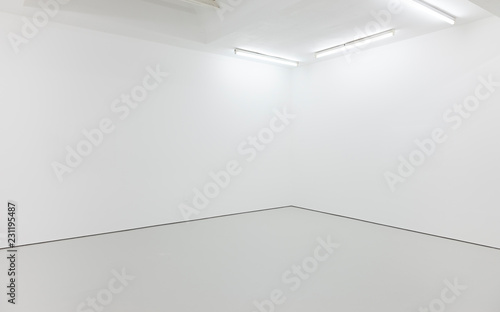 A view of a white painted interior of an empty room or an art gallery with a skylight lighting and concrete floors