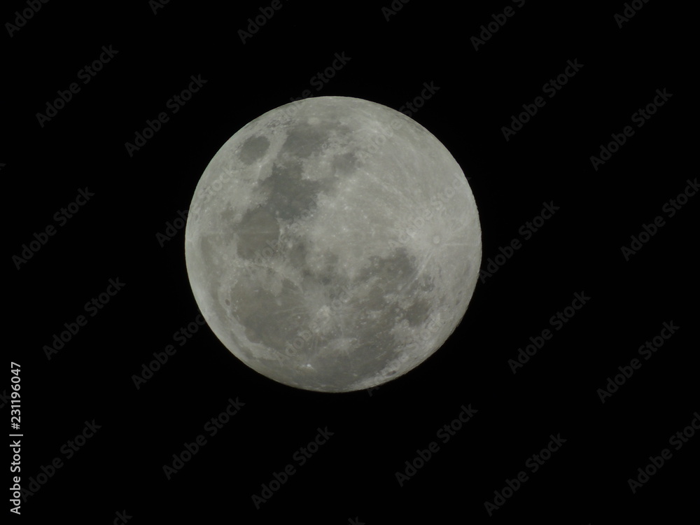 Fototapeta premium 68