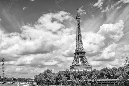 Panoramic view of Eiffel tower