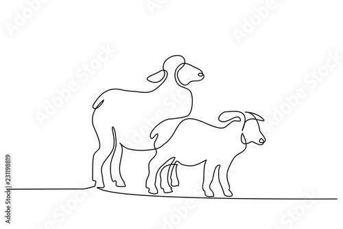 Continuous one line drawing. Sheep in modern minimalistic style. Vector illustration