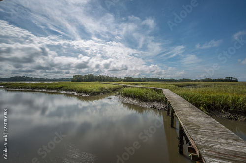 Wadmalaw Island  South Carolina  USA