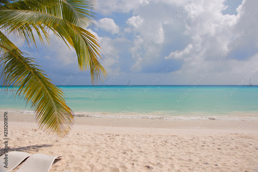 Fototapeta premium Dominicana beach