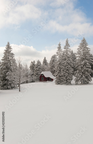 Traumhafte Idylle. Verschneite Hütte umrundet von Bäumen