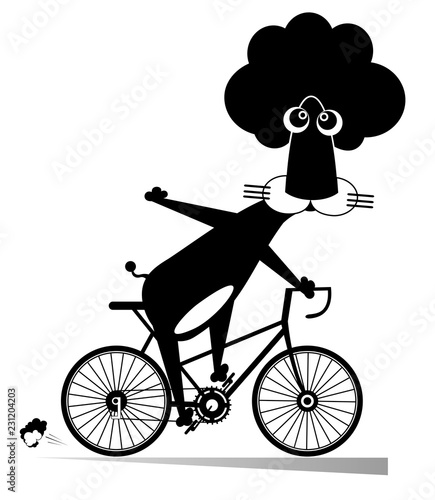 Fototapeta Naklejka Na Ścianę i Meble -  Cartoon lion rides a bike isolated illustration. Funny lion rides a bike black on white
