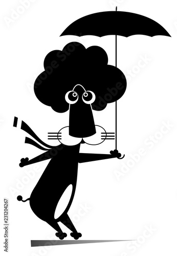 Fototapeta Naklejka Na Ścianę i Meble -  Lion with umbrella isolated illustration. Cartoon lion walking with umbrella black on white illustration
