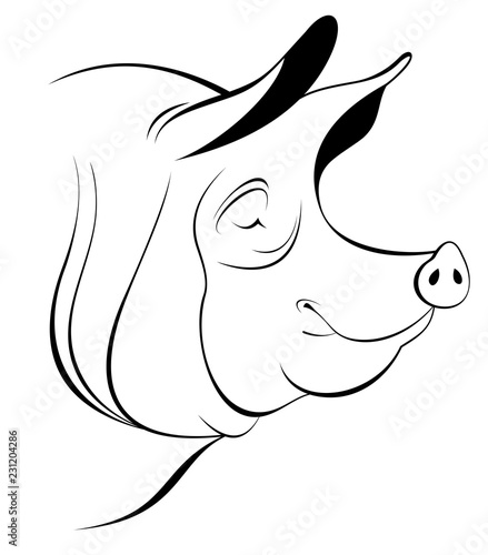 Pig head line art illustration. Pig head black on white original illustration 
