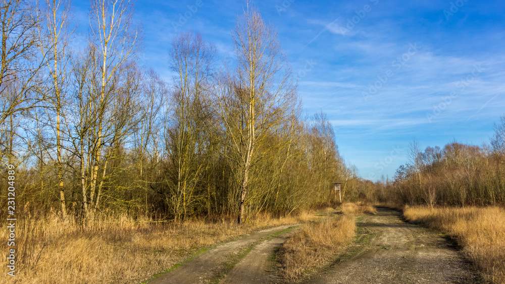 Beautiful winter view near Oberpoering-Bavaria-Germany