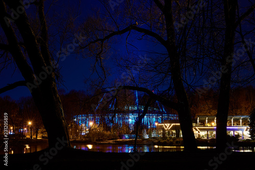 Saint-Petersburg night