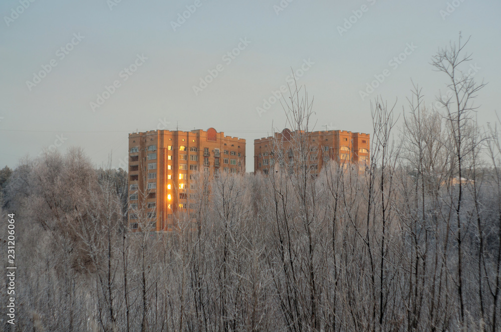 Winter Winter