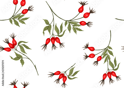 Seamless pattern with winter plants. Vector illustration.