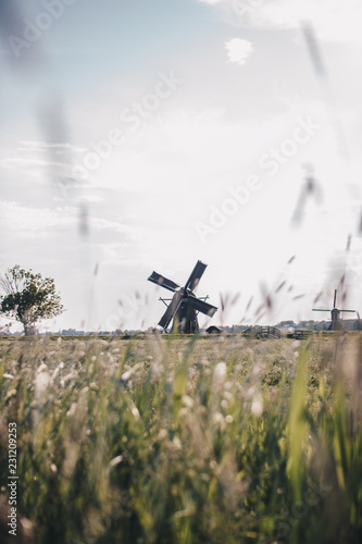 Windmill in the distance
