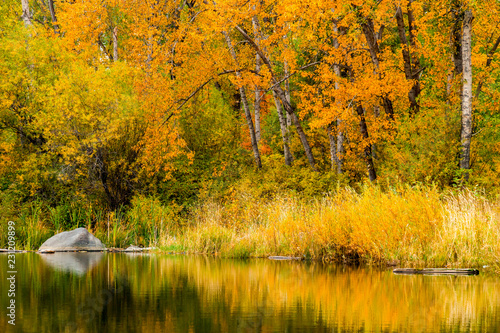 Autumn at Tims Pond in Washington state photo