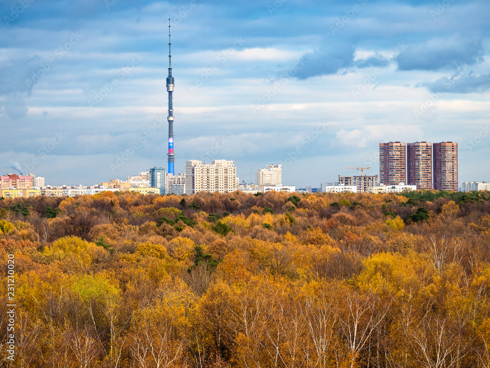 Obraz premium autumn skyline with yellow park and city