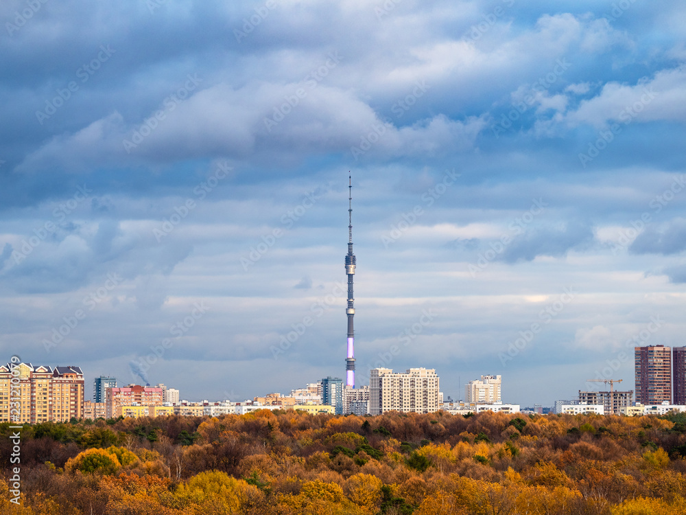 Fototapeta premium skyline with autumn forest and city