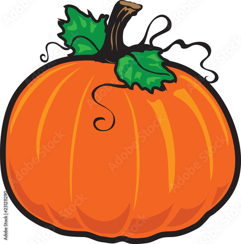 Fall pumpkin icon
