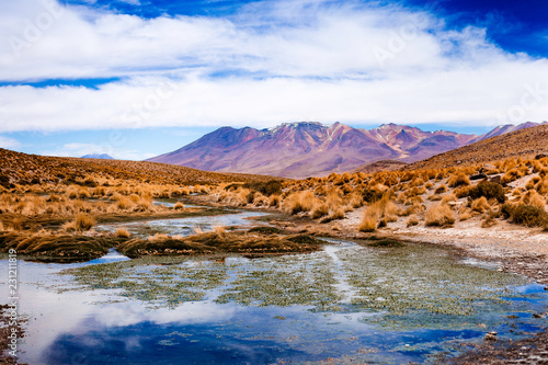 Altiplano © Deniza Naumova