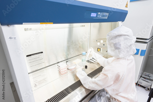 A scientist in sterile coverall gown pipetting medium or reagents for cell culture experiment in biological safety cabinet. Doing biological research in clean environmental. Cleanroom facility