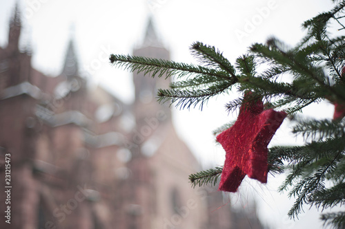 roter Weihnachtsstern hängt an einer Tanne, im Hintergrund ist das Freiburger Münster zu sehen