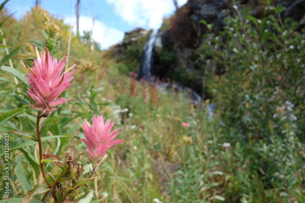 Fototapeta premium Landscapes of the Pacific Northwest, Washington State