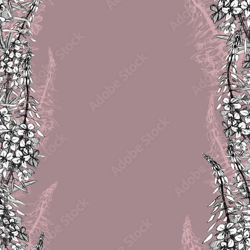Seamless pattern with willow-herb photo