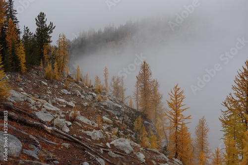 Landscapes of the Pacific Northwest, Washington State