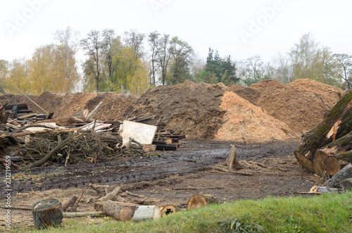 Waste sawmill in the form of a stack of boards and a mountain of sawdust.