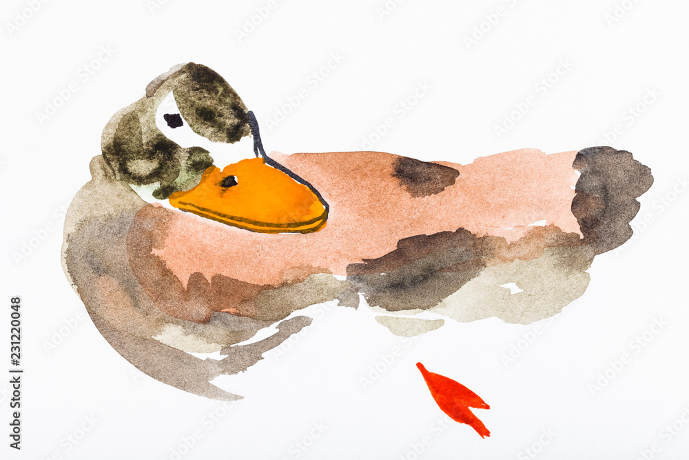 Fototapeta premium colorful duck drawn by watercolors