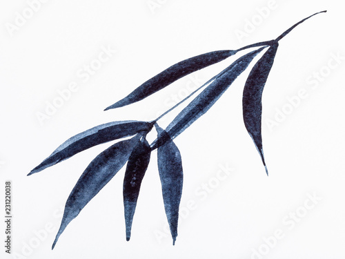 Obraz na płótnie gałązka bambusa narysowana czarnymi akwarelami