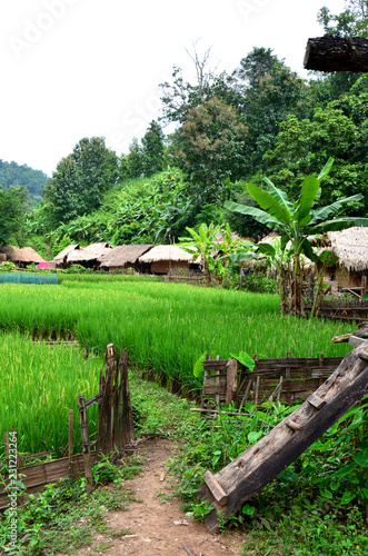 village femmes des longs cous thailande