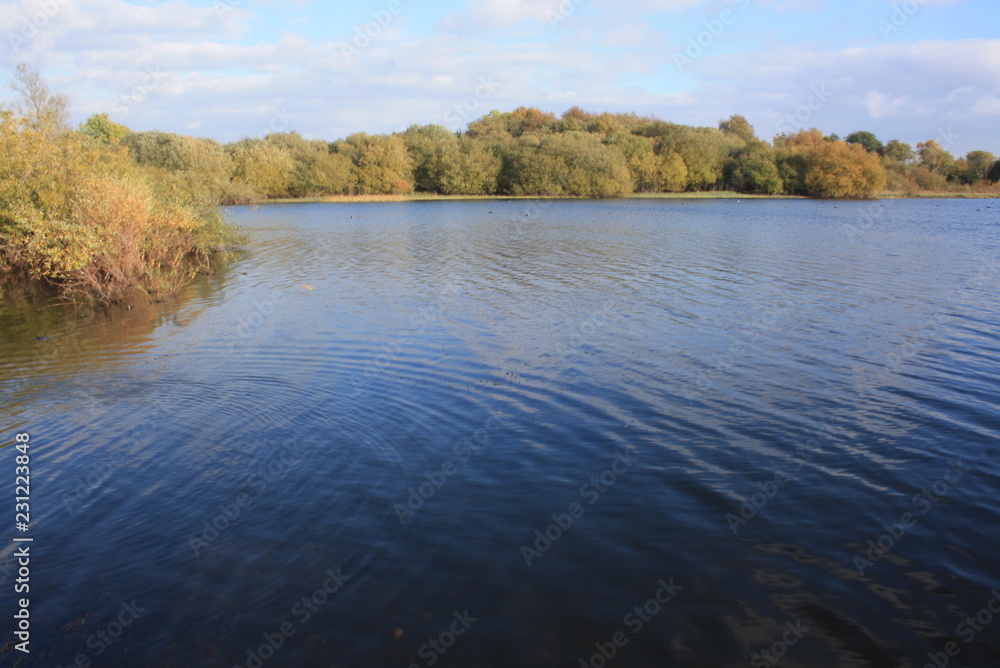 Fototapeta premium Water