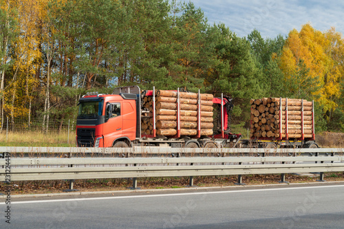LKW transportiert Holzstämme  photo