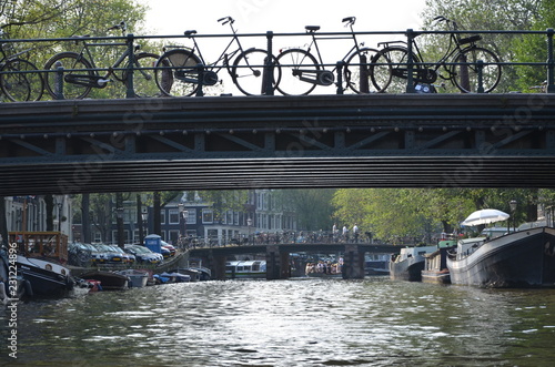 bridge over the river