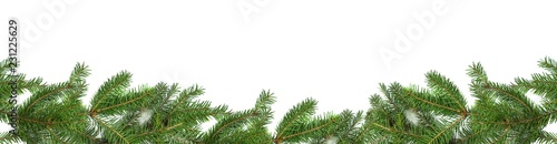 Beautiful long christmas holiday banner: fir branches on white background with copy space