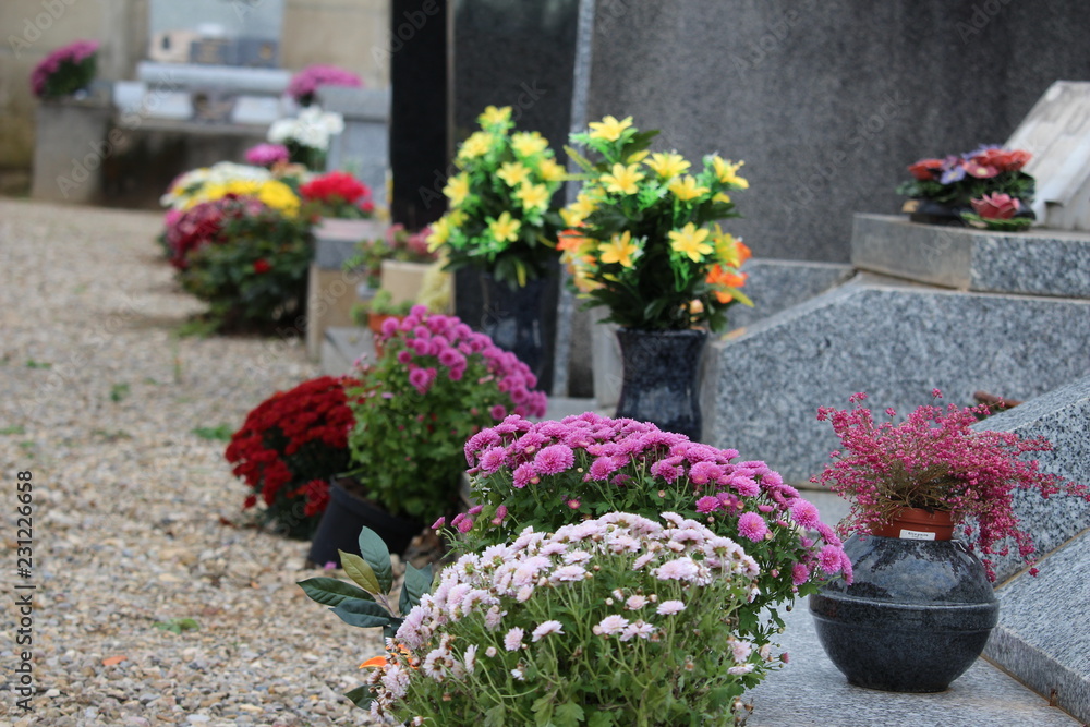 cimetière : RIP coronavirus