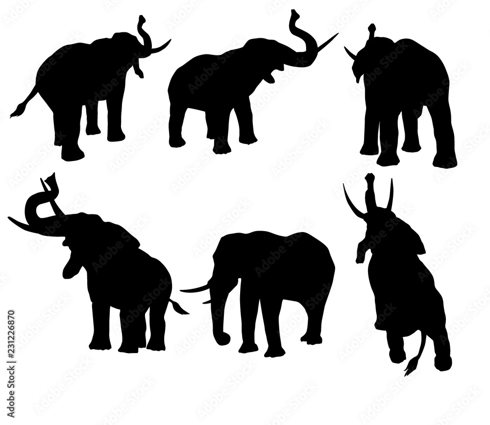 éléphant, silhouette, ombre chinoise, logo, illustration, mammifère,  sauvage, animal, isolé, noir, blanc, faune, Illustration Stock | Adobe Stock