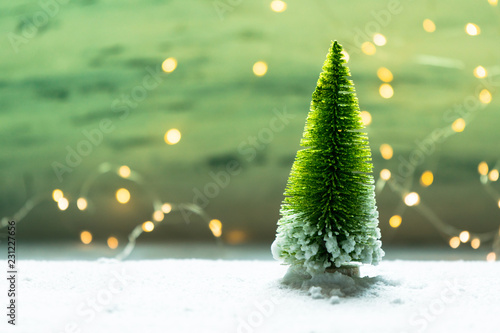 sybolic landscape with conceptual nature, a single green Christmas tree standing in the snow on a background of lights photo