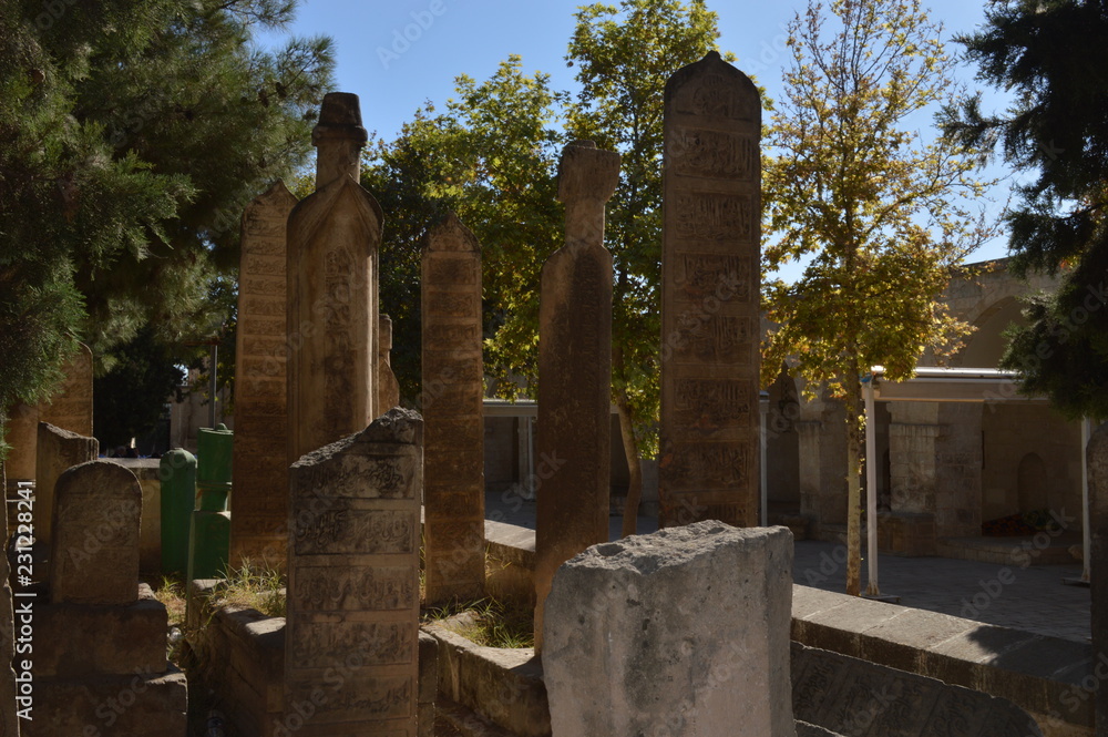 Fototapeta premium gravestones