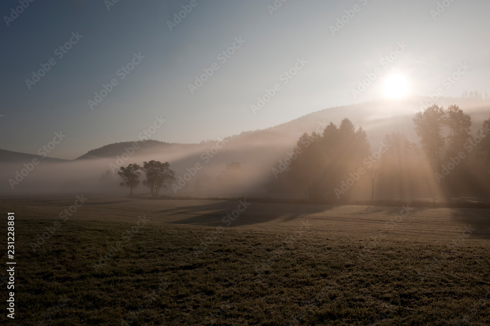 Fototapeta premium landscape bathed in fog / Landschaft in Nebel getaucht