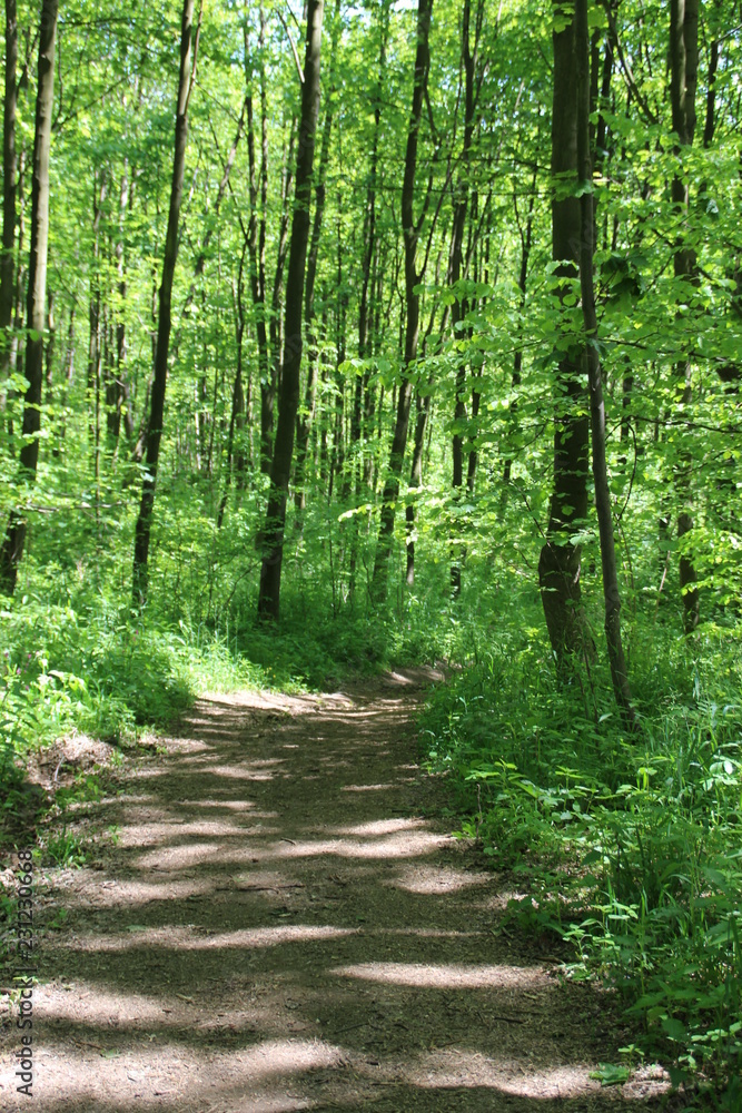 Sommerweg Sommerweg