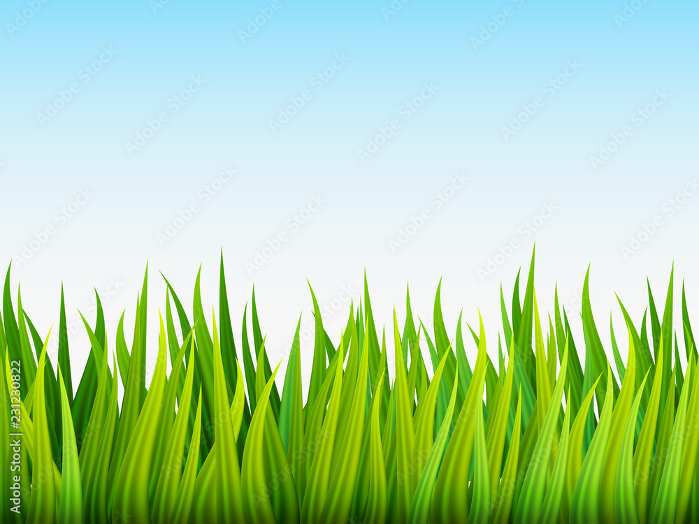 Fototapeta premium Nature background. Grass and Sky. Vector illustration
