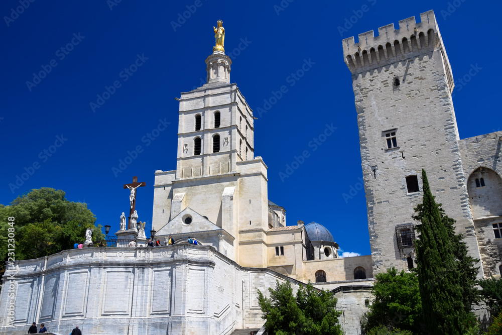 The Palais des Papes in the city of Avignon, Provence, France