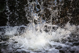 splashes and drops of water falling from a height