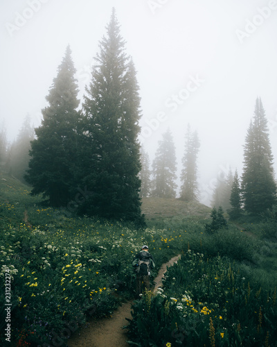 Rear view of man walking on road passing through forest