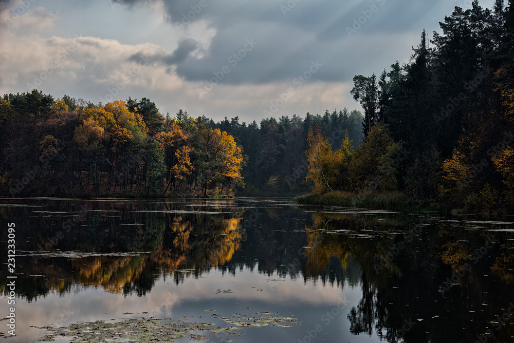 Autumn season forest lake