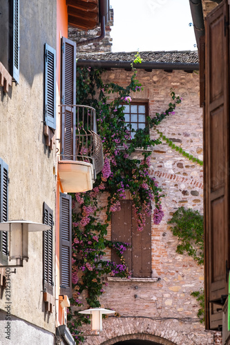 Flowers on the walls of houses in the city of Sirmione