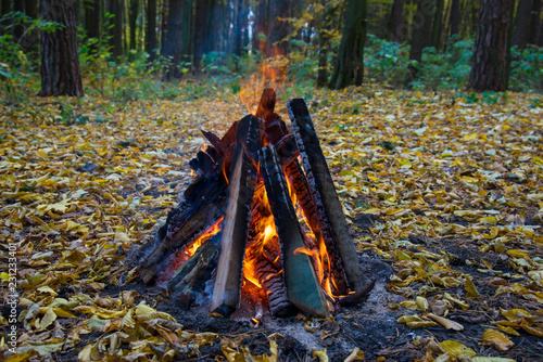 Bonfire in the autumn forest